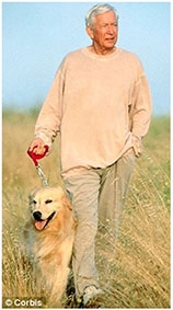 Đi bộ cũng giúp giảm 40% nguy cơ tử vong sớm