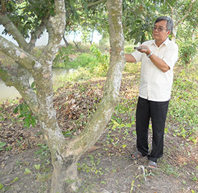 Nêu gương cần cù lao động, sống có ích