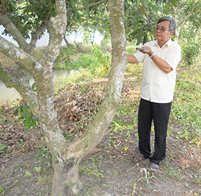 Nêu gương cần cù lao động, sống có ích