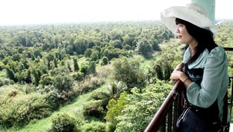 Hình ảnh con rắn trong truyện dân gian ĐBSCL