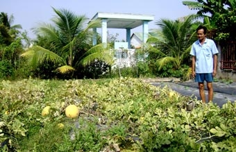 Tạo điều kiện thuận lợi tiêu thụ hàng nông sản Tết