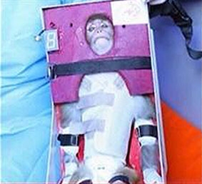 Iran phóng vệ tinh đưa khỉ vào không gian