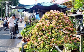 Kinh tế khởi sắc

trong tháng đầu năm