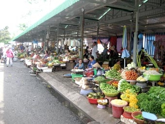 Tập trung lo đầu ra cho sản phẩm