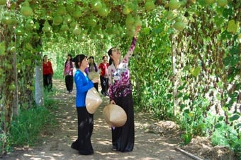 TOUR NGẮN NGÀY DU XUÂN