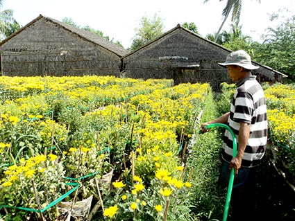 Tăng gia sản xuất để cùng xây dựng nông thôn mới