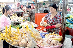 Khó “bùng nổ” vào giờ chót?