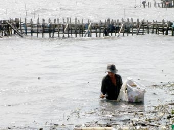 Cần tầm nhìn chiến lược và sự linh hoạt