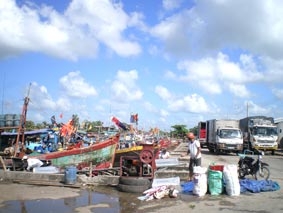 Ngư dân hy vọng
chuyến biển đầu năm