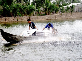 Cần quan tâm đến tiêu chuẩn ASC