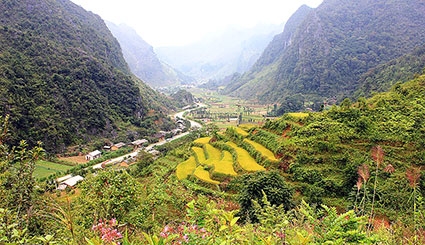 “Ốc đảo” Sủng Là