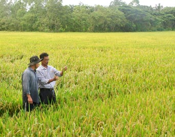 CẦU NỐI DOANH NGHIỆP VỚI NÔNG DÂN