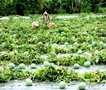 Dân có giàu, nước mới mạnh