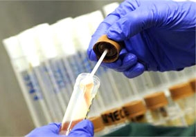 Loại gel đặc biệt có thể chữa lành tổn thương tim