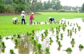 Bước chuyển đổi về chất