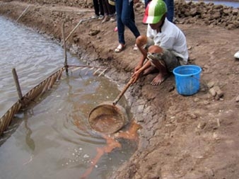 Phát triển chưa tương xứng tiềm năng