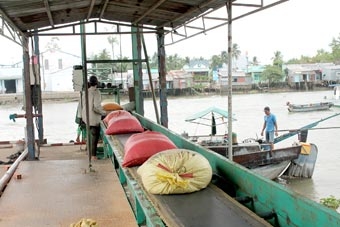 Cần tổ chức thực hiện căn cơ hơn