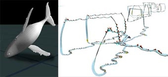 Công nghệ giúp các nhà khoa học bảo vệ cá voi