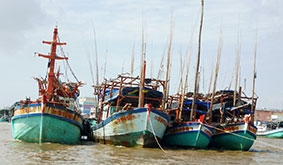 Từng bước nâng cao hiệu quả nghề khai thác thủy sản