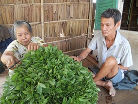 Cảm thương những mảnh đời bất hạnh