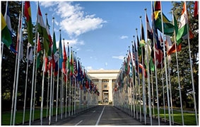 Mỹ kêu gọi LHQ cấm nhà ngoại giao say xỉn