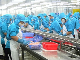 Bước ngoặt mới 

cho ngành cá tra Việt Nam