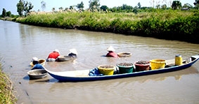 Mô hình nuôi tôm- cua- sò huyết đạt hiệu quả cao