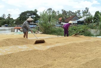 Xây dựng nông thôn mới ở xã Trường Xuân B