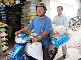 Bước vào vụ sản xuất, giá lại tăng