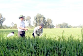 Cần trợ lực bằng chính sách