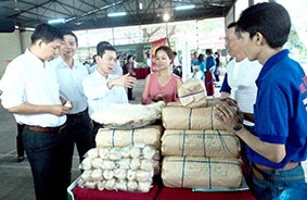 Luật chưa thực sự đi vào cuộc sống