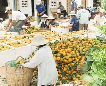 Đánh thức tiềm năng vùng ven sông Tiền, sông Hậu