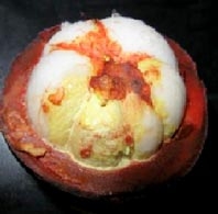 BIỆN PHÁP HẠN CHẾ HIỆN TƯỢNG XÌ MỦ,  SƯỢNG TRÁI MĂNG CỤT