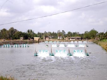 Đề xuất thực hiện đề tài "Nghiên cứu chế tạo hệ thống cảm biến nano ứng dụng trong kiểm tra chất lượng môi trường nước nuôi tôm và phát hiện bệnh tôm"