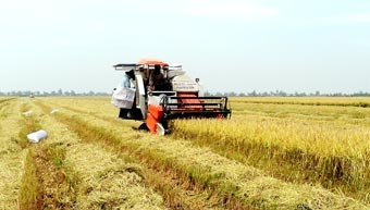 Đối mặt với nhiều thách thức