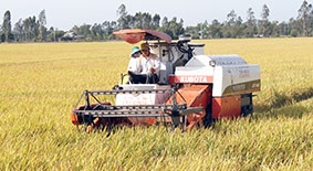 Đề xuất các giải pháp hỗ trợ 

nông dân phát triển nông nghiệp