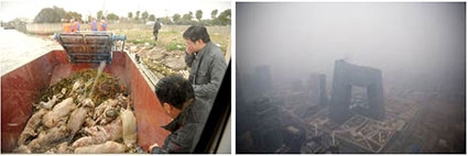 Vấn đề môi trường và cuộc chiến nội bộ