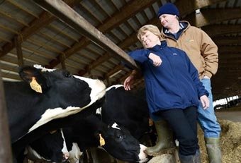 Phong trào đầu tư vốn để “tậu” thẻ Xanh tại Mỹ