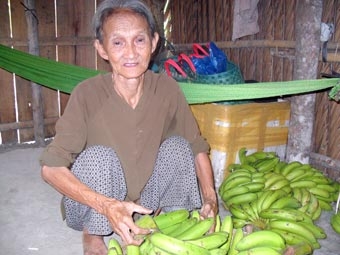 Khốn khó tuổi xế chiều