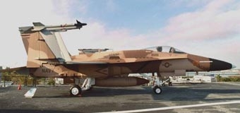 Quân đội Mỹ và Philippines tập trận “vai kề vai”