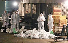 Phát hiện thêm virus cúm H7N9 

tại nhiều khu chợ ở Thượng Hải