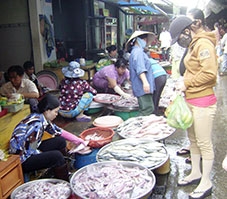 Hiệp đồng quản lý chất lượng, 

an toàn thực phẩm nông lâm thủy sản