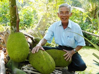 Cân nhắc bài toán “vỡ” quy hoạch