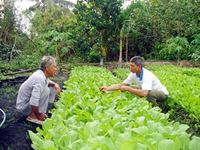 Nghiêm túc khắc phục những hạn chế, khuyết điểm