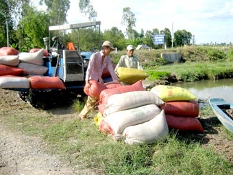 Công nghệ nào cho hạt gạo Đồng bằng sông Cửu Long?