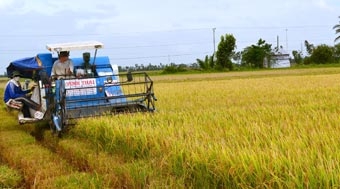 Mấu chốt để “tam nông” bứt phá