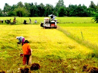 Đầu tư từ gốc để giải quyết 
bài toán thị trường