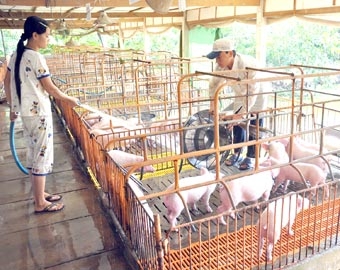 Mùa nông sản thấp điểm