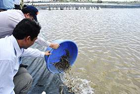 Cần tuân thủ khuyến cáo
của ngành chức năng