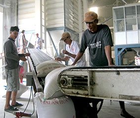 Kỳ vọng xuất khẩu gạo